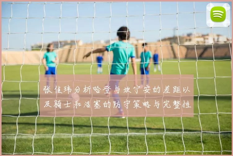 张佳玮分析哈登与坎宁安的差距以及骑士和活塞的防守策略与完整性