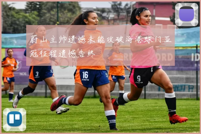 蔚山主帅遗憾未能攻破海港球门亚冠征程遗憾告终
