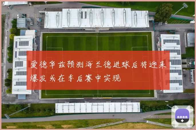 爱德华兹预测海兰德进球后将迎来爆发或在季后赛中实现