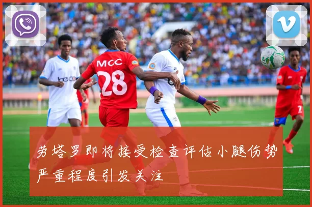 劳塔罗即将接受检查评估小腿伤势严重程度引发关注